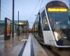 Drunk man attacks tram driver in capital