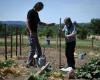 In hospitals or nursing homes, therapeutic gardens are flourishing