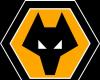 WOLVES / NOTTINGHAM FOREST Odds prediction result ⚽️ January 6, 2025