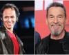 Jean-Jacques Goldman or Florent Pagny? Here is the French favorite singer