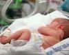 Since January 1, 2025, newborns now belong to the Beta generation