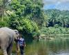 22-year-old Spanish tourist dies after being attacked by an elephant she was washing in Thailand