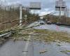 Storm Floriane: strong gusts of wind on the Oise, fallen trees, trains stopped between Creil and Compiègne