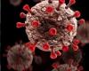 A new deadly virus: the shadow of hMPV hangs over the world