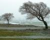 MONITORING depression Floriane in France: strong winds reach central regions and weaken elsewhere