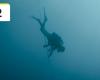 Shores on France 2: Did Fleur Geffrier really film underwater? – News Series on TV