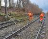 passengers of a TER train stuck on the tracks due to a falling tree in the Somme