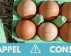 Salmonella: do not eat these boxes of six contaminated eggs