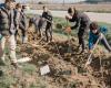 Three kilometers of hedges to plant, renowned speakers on climate and agroecology: how the 1st Plantathlon, in Aude, attracted 200 participants