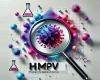 Could the HMPV virus, which is spreading around the world, be a threat?