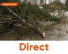 Storm Floriane crosses Belgium: a tree collapses on a car in Beloil, the two occupants are in serious condition