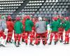 Ice hockey: general brawl, referee attacked… images of a stormy end to the match between Cergy and Grenoble