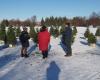 Blue planet, green ideas | The ephemeral fir forest returns to Jarry Park