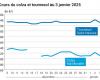 COTidienne | Oilseeds – The price of rapeseed falls sharply before the start of the January school year