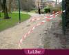 LIVE – Belgium affected by violent winds: signs fall on Place De Brouckère, damage observed in several places