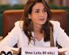 Morocco: Publication of electricity network tariff helps reduce energy bill (Benali)