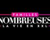 Large families: life in XXL (TF1) – A famous tribe announces the birth of its 7th child: “a new light has illuminated our life”