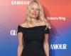 Pamela Anderson reveals being attacked on a plane: ‘I was almost killed’