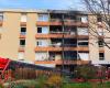 Draguignan fire: affected families relocated to the residence