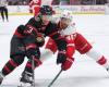 Sports betting: the Senators-Red Wings match to watch