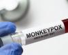 Monkey pox: “no worries”, the Minister of Health reassures after the detection of a case of the new variant in France: News