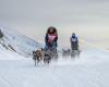 five things to know about the legendary sled dog race