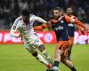 MHSC: the technical direction of the arbitration justifies the goal refused to Jordan Ferri in Lyon