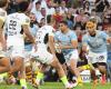 Top 14: Sadek Deghmache will leave USAP for Pro D2, just like Vakhtang Jintcharadze