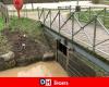 The Lac du Paradis in Braine-l’Alleud retained at least 25,000 m3 of water: “yesterday, we reached the peak of the flood between noon and 2 p.m.”