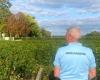 The body of a man discovered buried in a garden near Libourne, police custody in progress