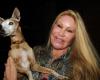 Jocelyn Wildenstein: the improbable place where the ashes of the “cat woman” will be transported