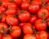 Soaring prices of tomatoes at the Casablanca wholesale market