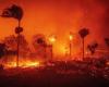 Fires in California: stars including a Star Wars legend evacuated, 30,000 people fleeing in 100 km/h winds!