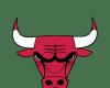 Match NBA Indiana Pacers vs Chicago Bulls du 08/01/2025