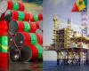 Senegal and Mauritania join the circle of gas producers