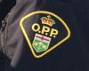 Crossing the border: four illegal immigrants arrested in Ontario