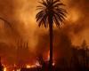 two dead in fires, nearly 4,800 hectares ravaged