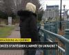 Ukrainians in Canada fear being called home to fight | War in Ukraine