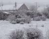 SNOW. Your most beautiful photos of snowy landscapes in Hauts-de-France