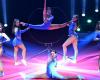 Great Christmas Circus. “We have become an event in Toulouse”, last performances this weekend