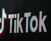 Hateful video on TikTok: a Franco-Algerian influencer in police custody in Lyon