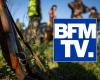 Hunting incident: BFM is surfing on empty ground