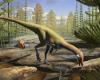 The origins of dinosaurs shaken by a new discovery