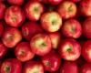 More than 9,000 tonnes of apples imported in 10 months