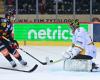 Hockey: in Bern, Ajoie collapsed after mid-match