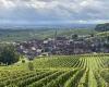 a gourmet and cultural getaway on the Alsace wine route