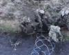 VIDEO. War in Ukraine: kyiv reveals images of the capture of two North Korean soldiers