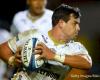 Sharks Rugby Vs. Toulouse Score And Live Updates