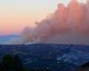 The Pope saddened by the fires ravaging Los Angeles