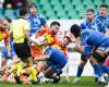 Rugby – Challenge Cup: “It will be simple and brutal”, the Paloise Section guided by its inner fire against the Dragons